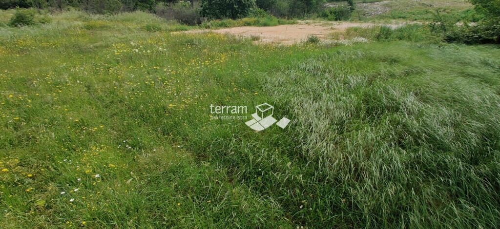 Image 6222191 - 1