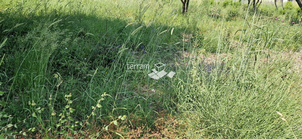 Image 6222196 - 1