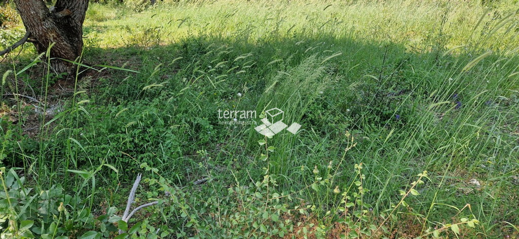 Image 6222196 - 2