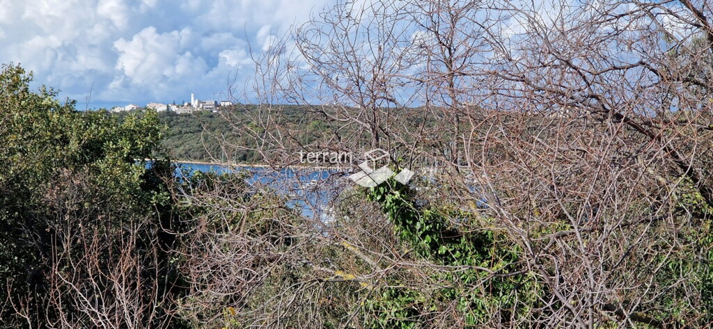 Image 6222205 - 30