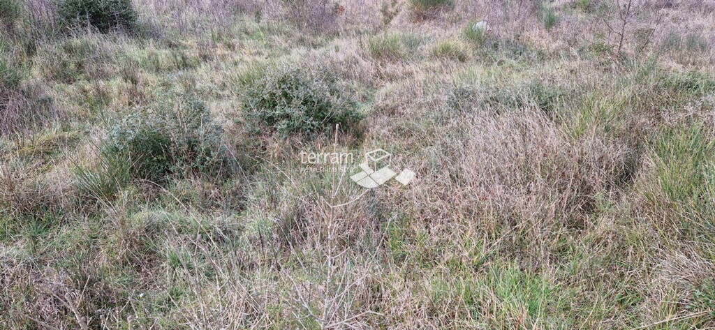 Image 6222208 - 5