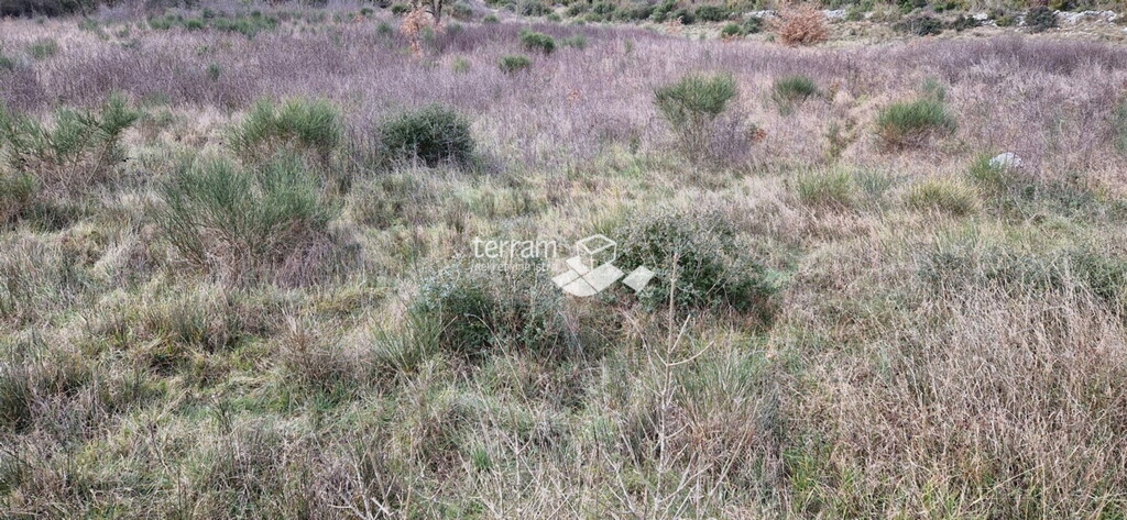 Image 6222208 - 2