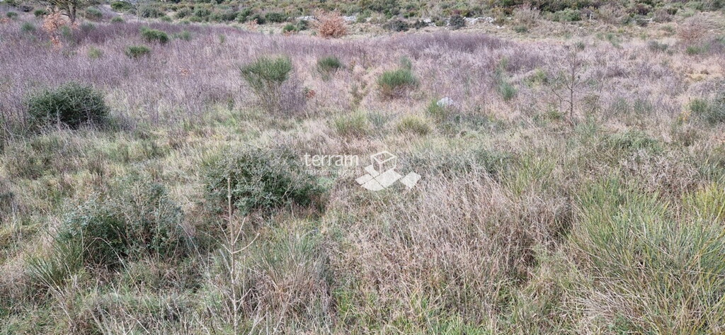 Image 6222208 - 3