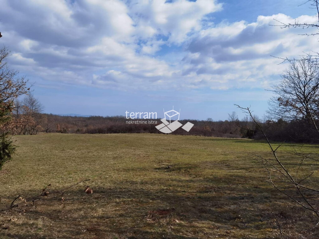 Image 6222209 - 1