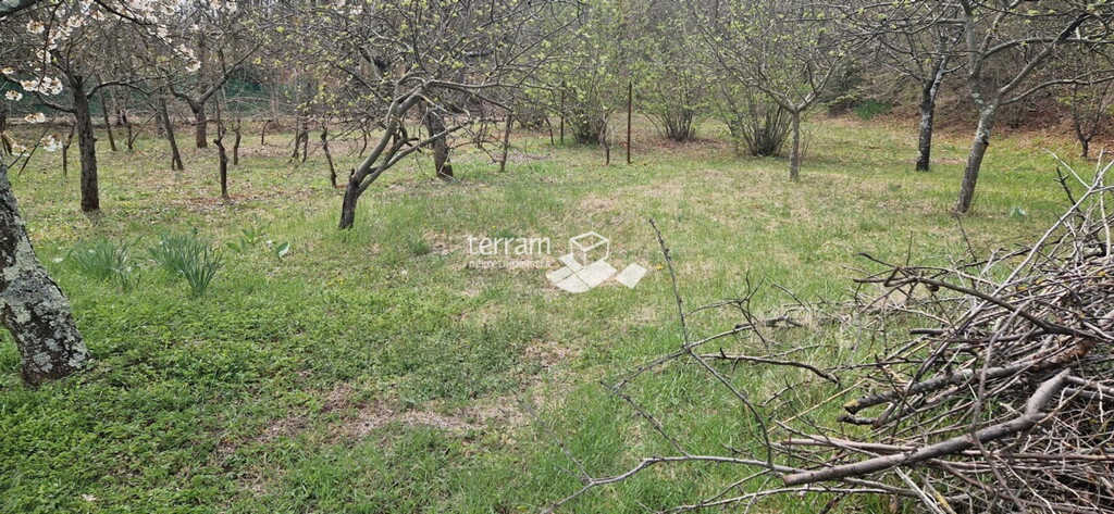 Image 6222211 - 4