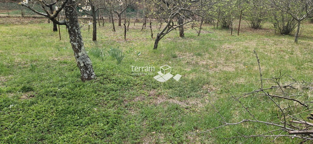 Image 6222211 - 5
