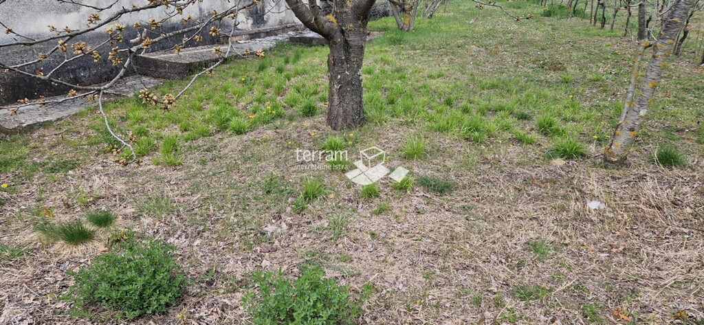 Image 6222211 - 7