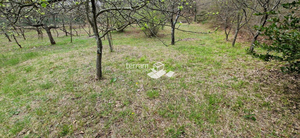 Image 6222211 - 6
