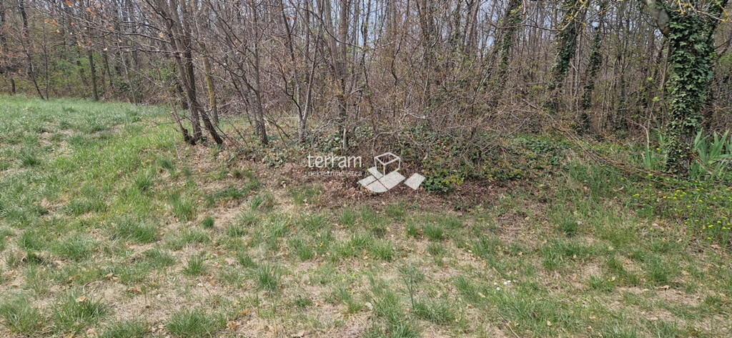 Image 6222211 - 3