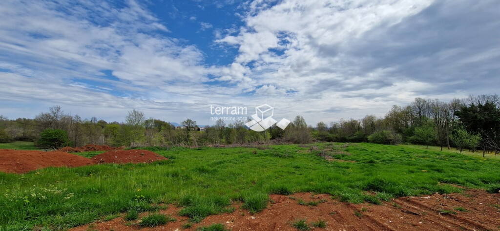 Image 6222212 - 11