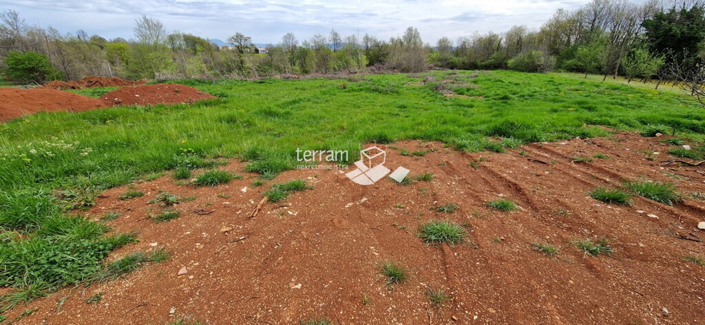 Image 6222212 - 10