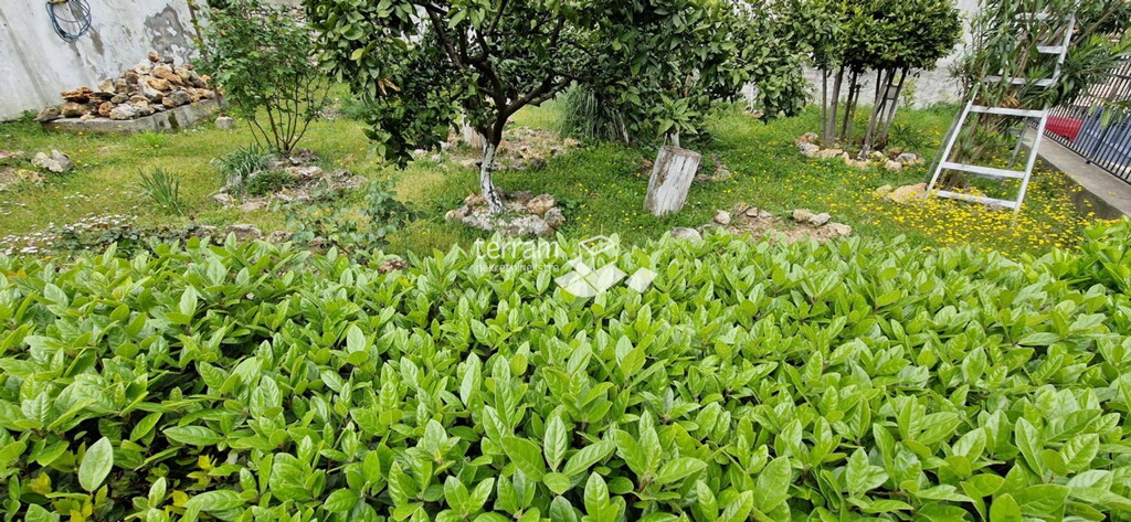 Image 6222213 - 3