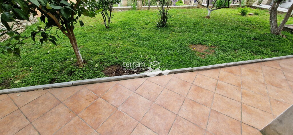 Image 6222213 - 1