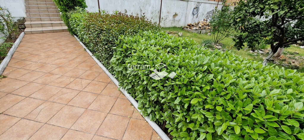 Image 6222213 - 4