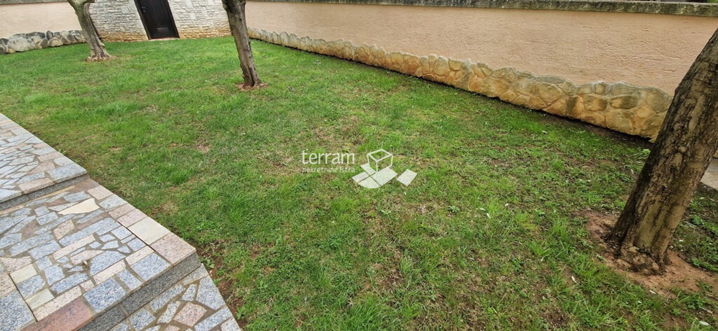 Image 6222218 - 3
