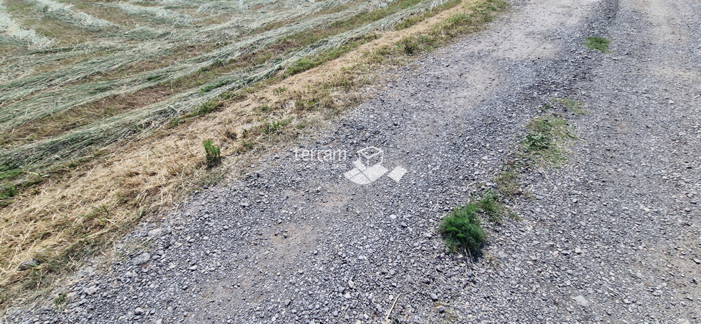 Image 6222223 - 3