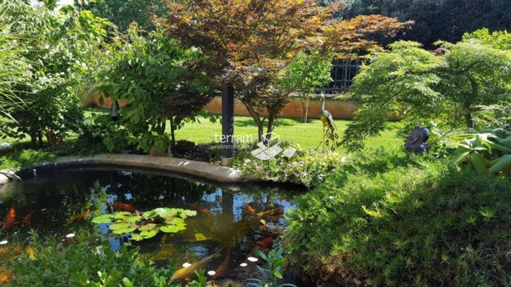 Image 6222227 - 10