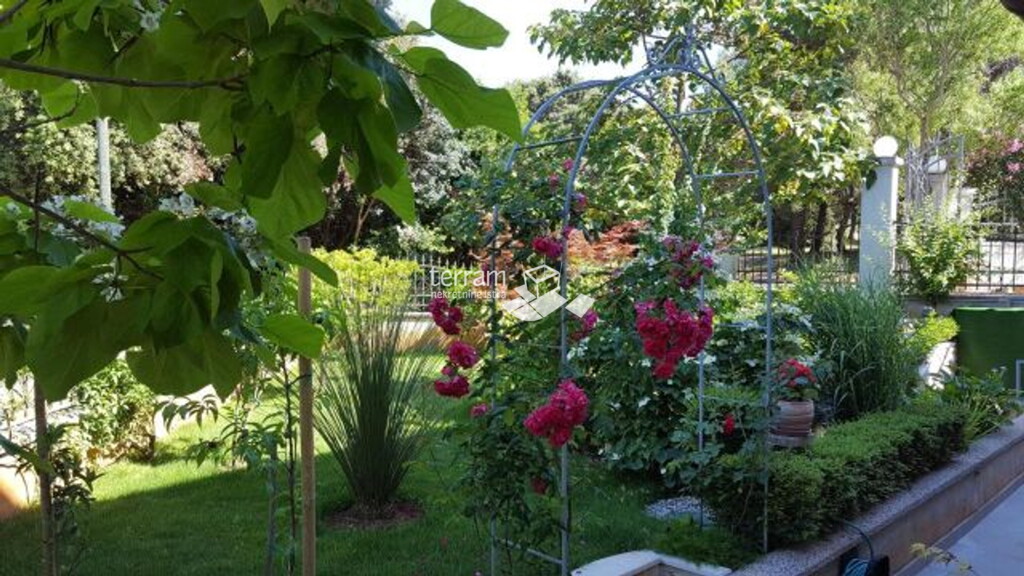Image 6222227 - 8