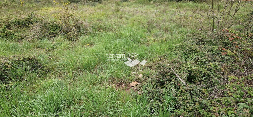 Image 6222230 - 2