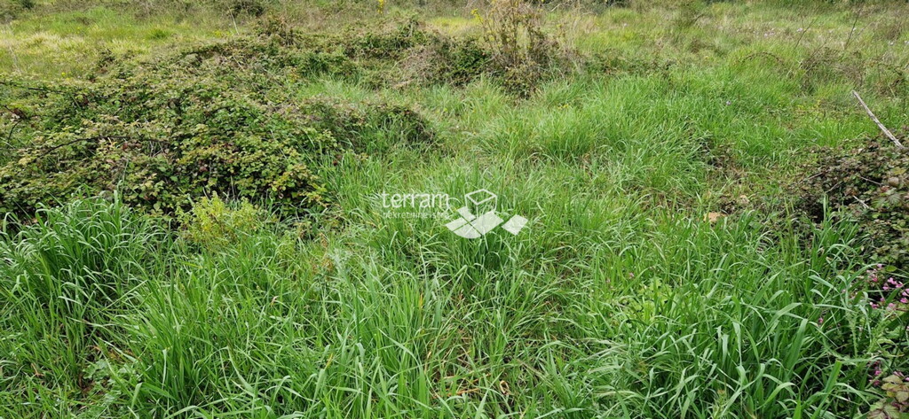 Image 6222230 - 1