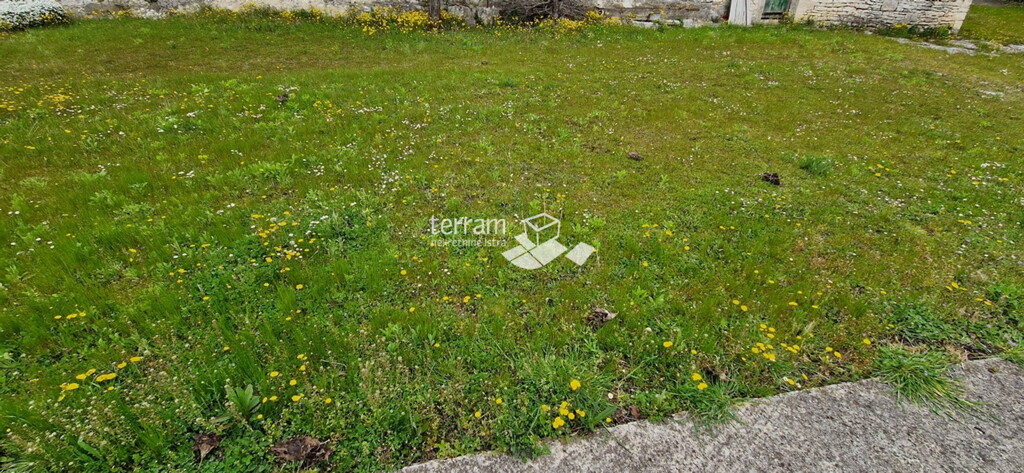 Image 6222232 - 9