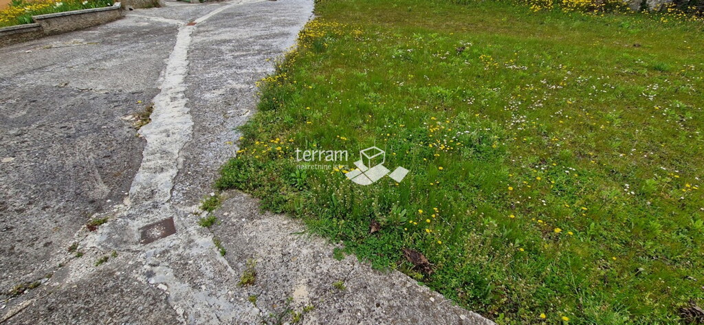 Image 6222232 - 11