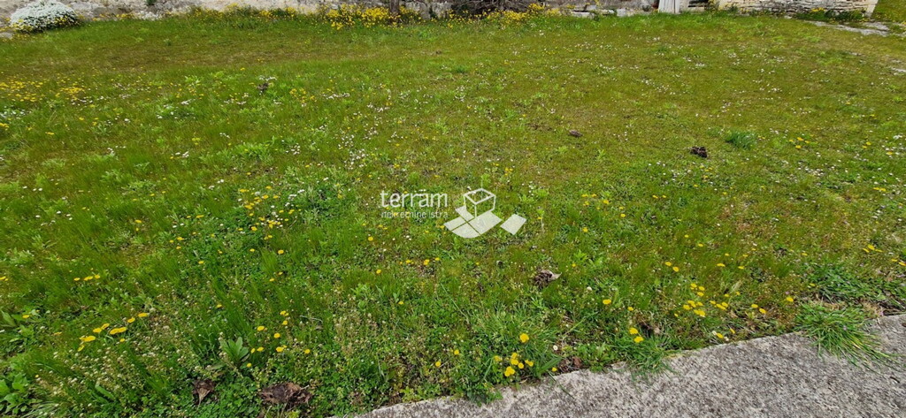 Image 6222232 - 10