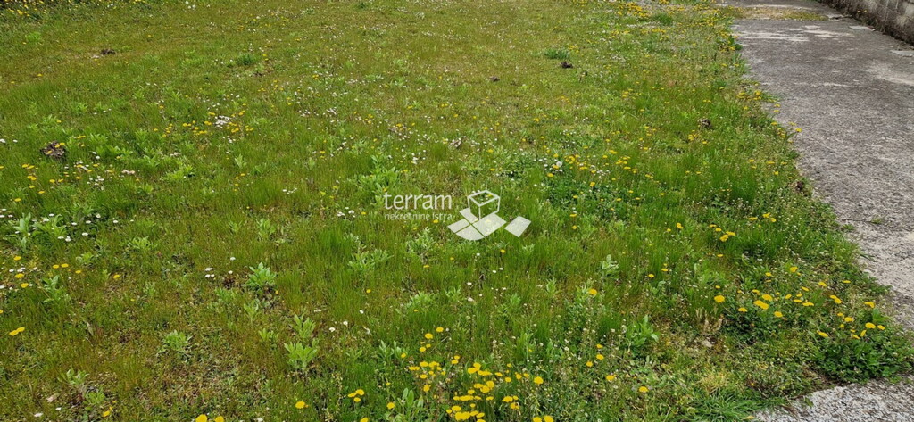 Image 6222232 - 2