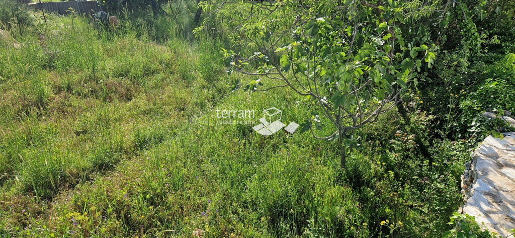 Image 6222233 - 1