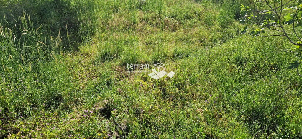 Image 6222233 - 4