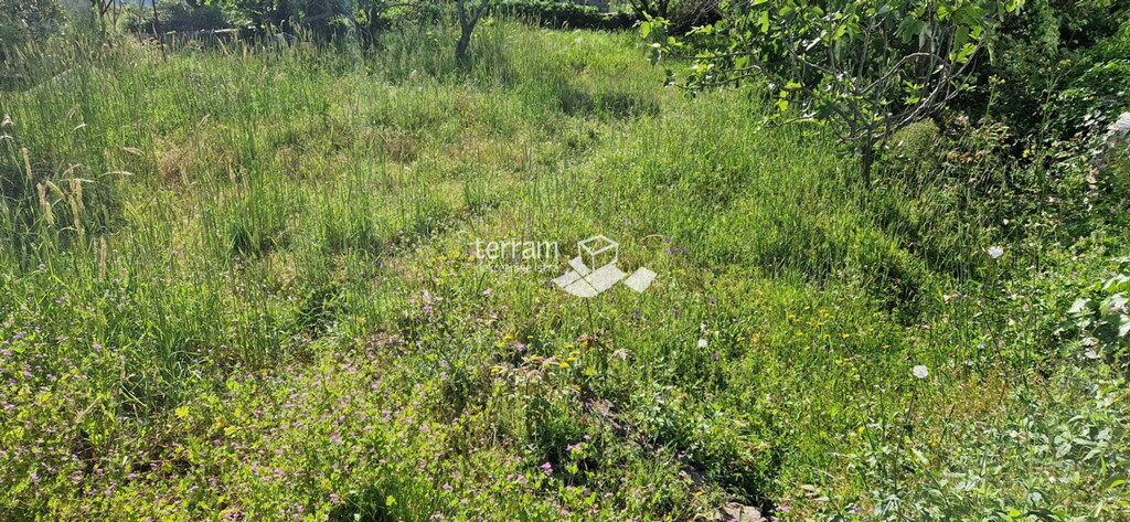 Image 6222233 - 3