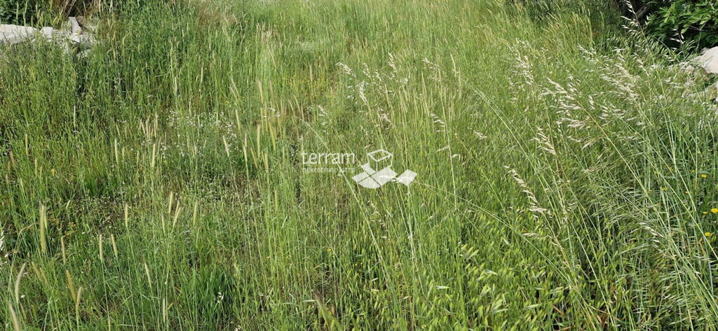 Image 6222236 - 2