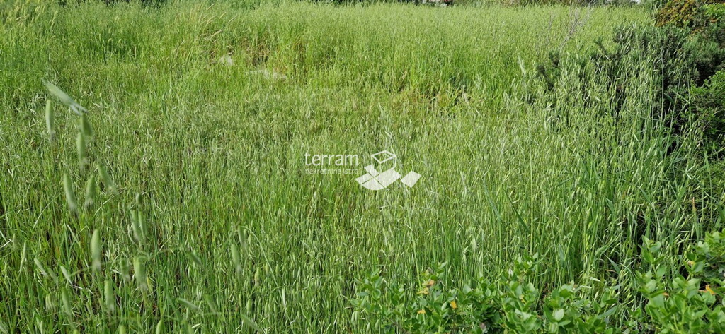 Image 6222236 - 5