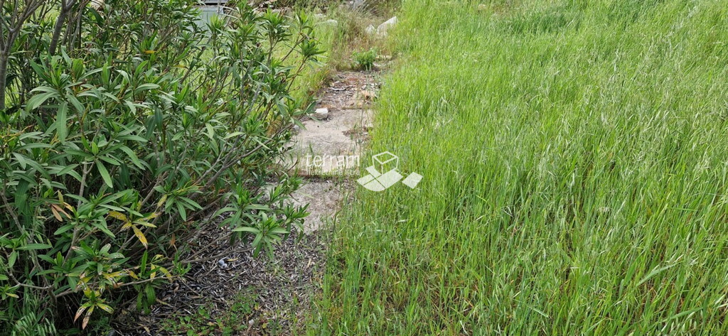 Image 6222236 - 7
