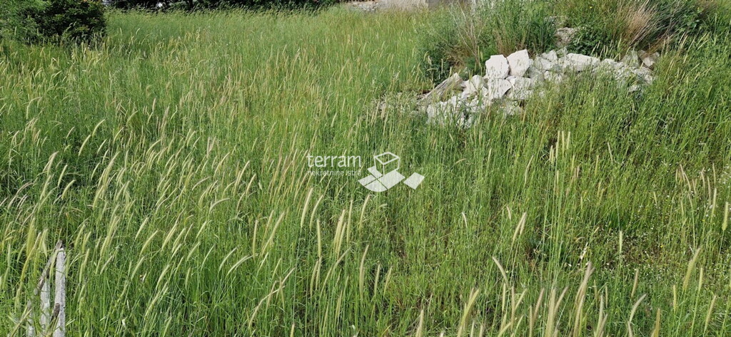 Image 6222236 - 1