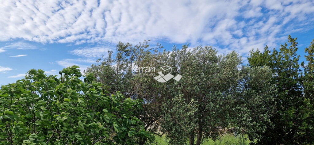 Image 6222236 - 8