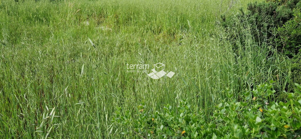 Image 6222236 - 6