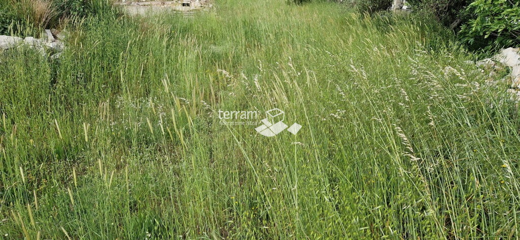 Image 6222236 - 3