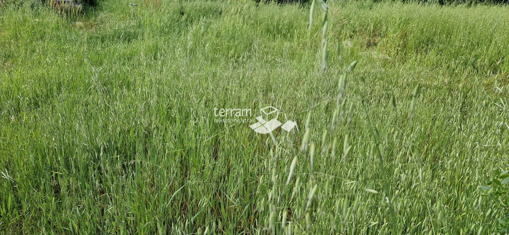 Image 6222236 - 4