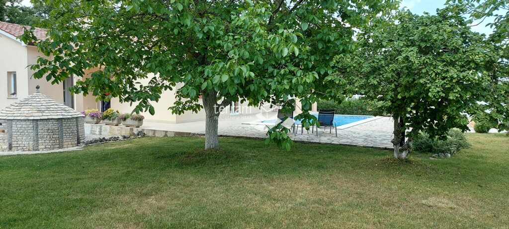 Image 6222241 - 8