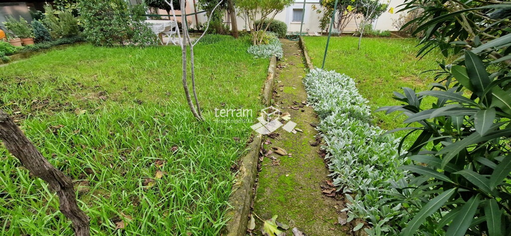 Image 6222242 - 6