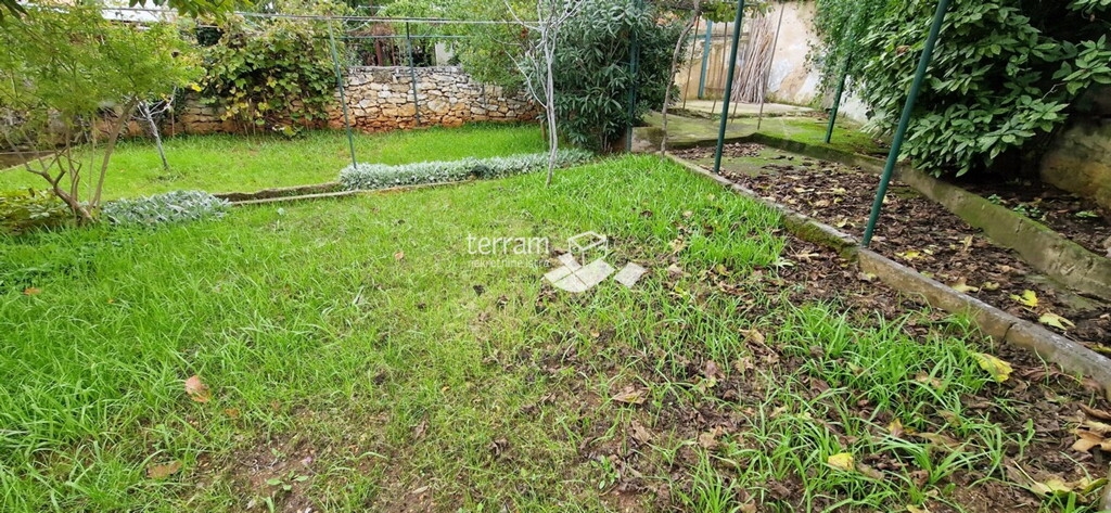 Image 6222242 - 4