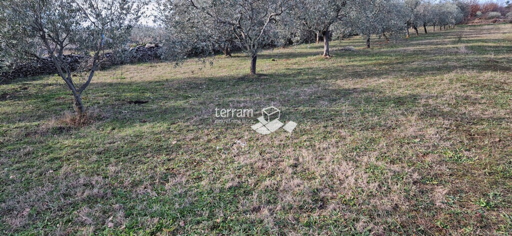 Image 6222245 - 3