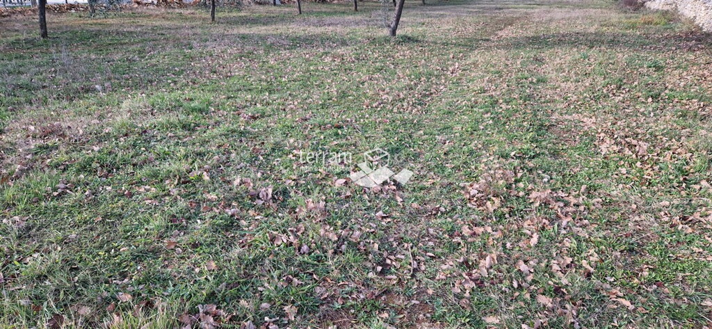 Image 6222245 - 1