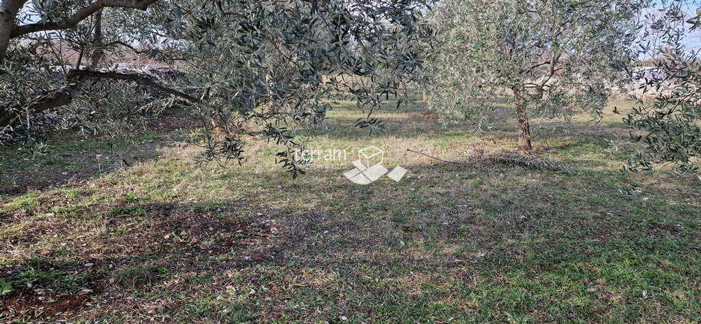 Image 6222245 - 4