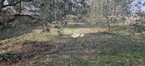 Thumbnail 6222246 - 7