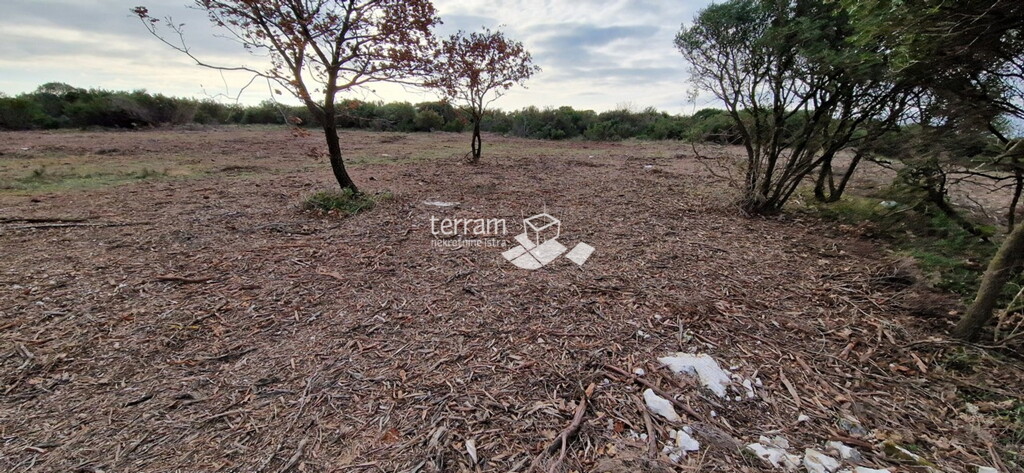 Image 6222247 - 1
