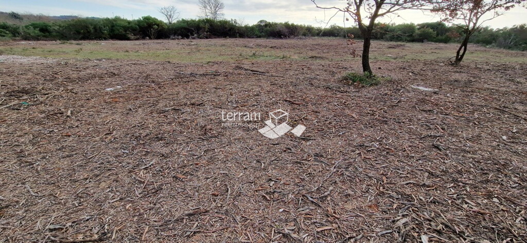 Image 6222247 - 2