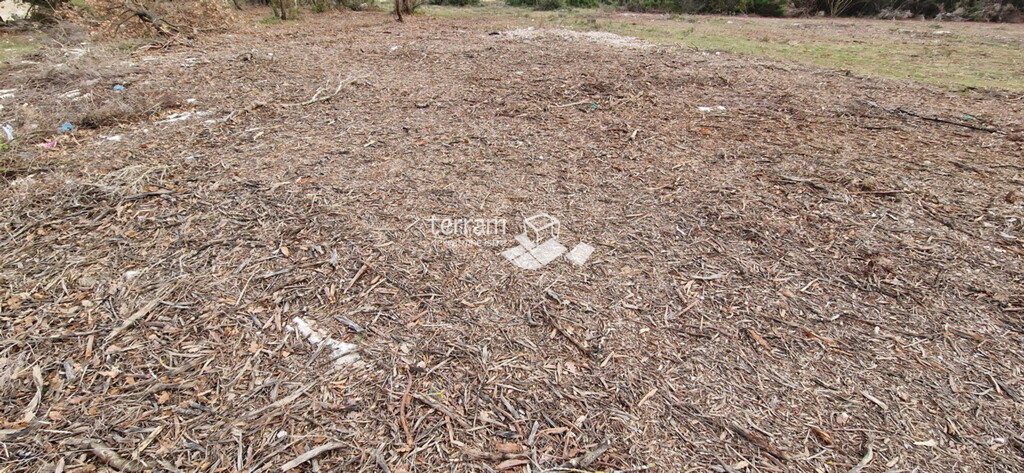 Image 6222247 - 4