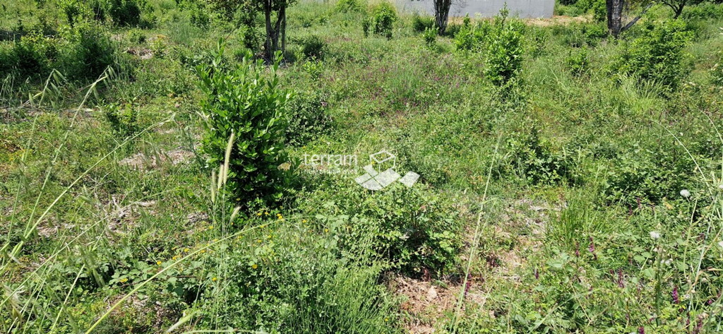 Image 6222252 - 3